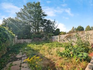 Photo 7- click for photo gallery